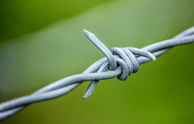 barbed wire, barb wire, wire, metal, boundary, pointed, security, green security, green metal. Between signing and completion: the closing and integration details sellers miss